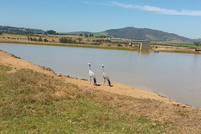 Horse Riding Wildlife Safari - Why horseback viewing feels different