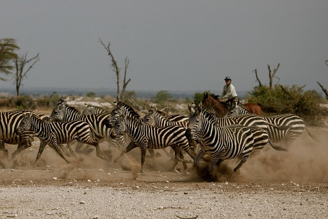Horse safaris in Tanzania - Riding Into the Bush Near Arusha