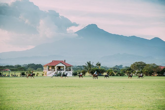 Horse safaris in Tanzania - What the Two-Hour Route Feels Like