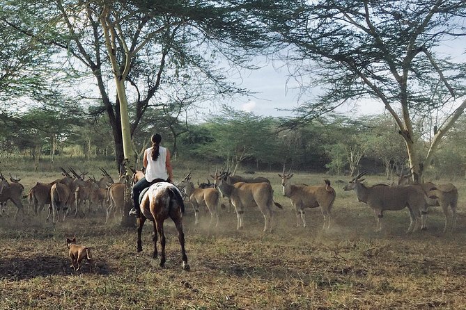 Horse safaris in Tanzania - Who Will Enjoy This Most