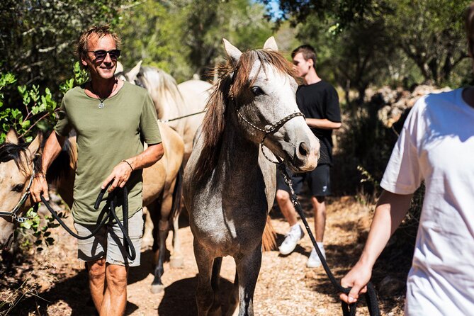 Horse Sanctuary: A nature walk with Rescued Horses by your side - Meeting rescued horses instead of simply viewing them