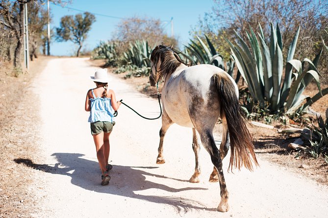 Horse Sanctuary: A nature walk with Rescued Horses by your side - What makes the sanctuary setting worthwhile