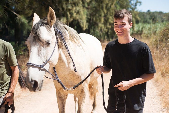 Horse Sanctuary: A nature walk with Rescued Horses by your side - Group size, guidance, and the horses’ different personalities