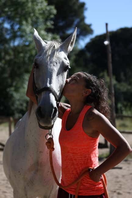 Horse Sanctuary in Rome - Key points at a glance