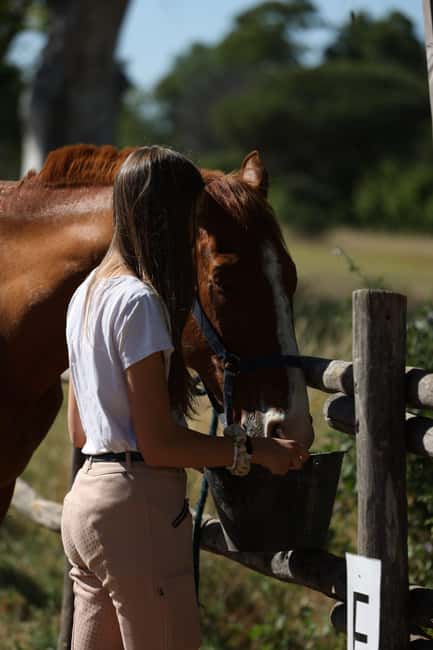 Horse Sanctuary in Rome - Booking, cancellation, and final practical advice