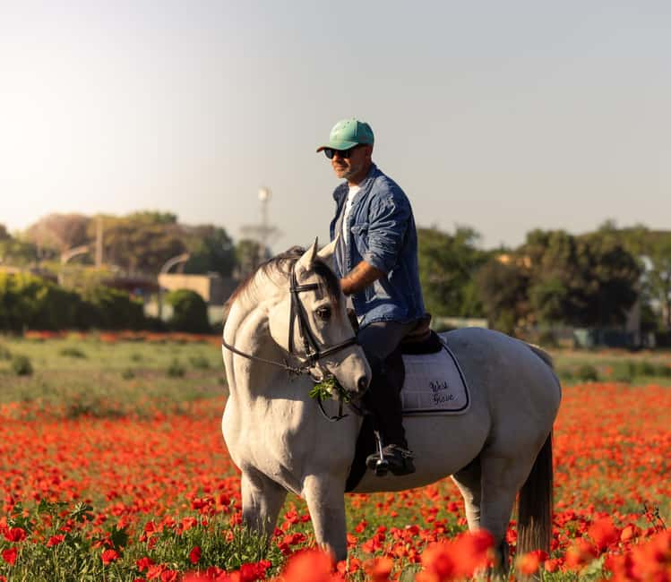 Horse Sanctuary in Rome - Meeting rescued horses before the ride