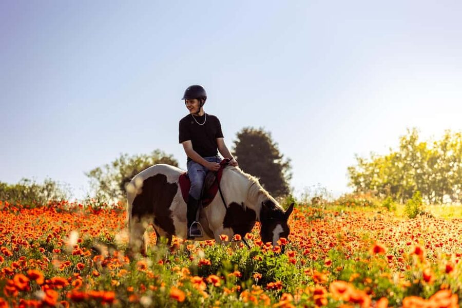 Horse Sanctuary in Rome - Riding through pinewood near Ancient Ostia