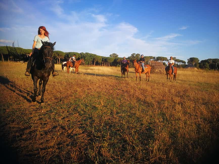 Horse Sanctuary in Rome - What the three hours are really worth