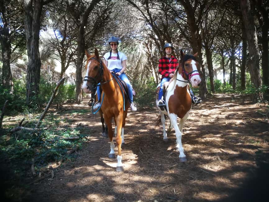 Horse Sanctuary in Rome - Reaching the ranch from Rome