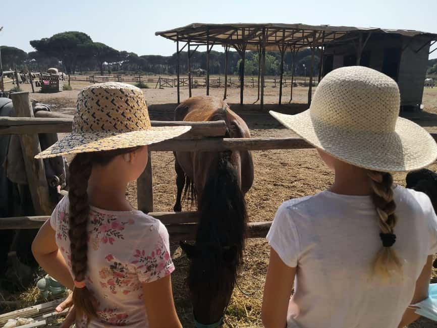 Horse Sanctuary in Rome - What to wear and what to leave behind