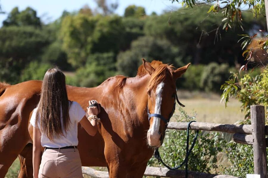 Horse Sanctuary in Rome - Who will enjoy this experience most