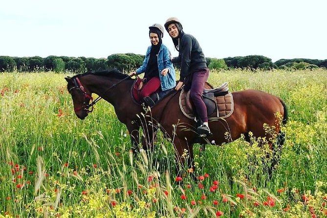 Horse Sanctuary & Trail Ride in Ostia Antica - Meeting the horses at Cavalieri di Gaia