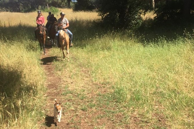 Horse Sanctuary & Trail Ride in Ostia Antica - Riding through Ostia Antica’s quiet countryside