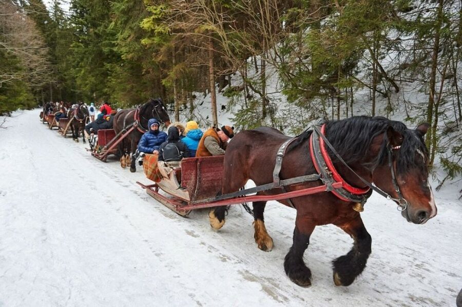 Horse Sleigh 2-3h Ride with Hot Springs or Zakopane Combos - Krupowki, Zakopane’s busy main street