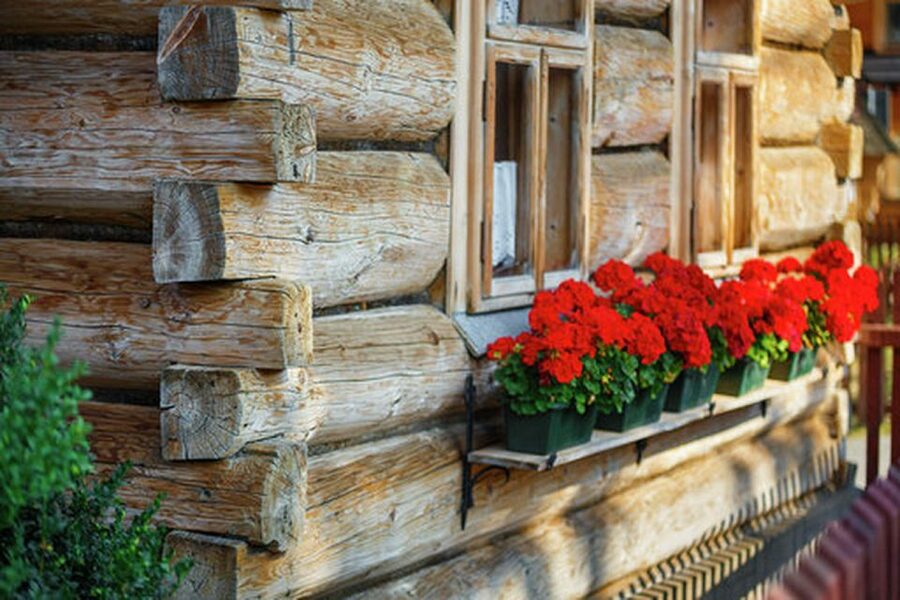 Horse Sleigh 2-3h Ride with Hot Springs or Zakopane Combos - Timing, comfort, and practical details