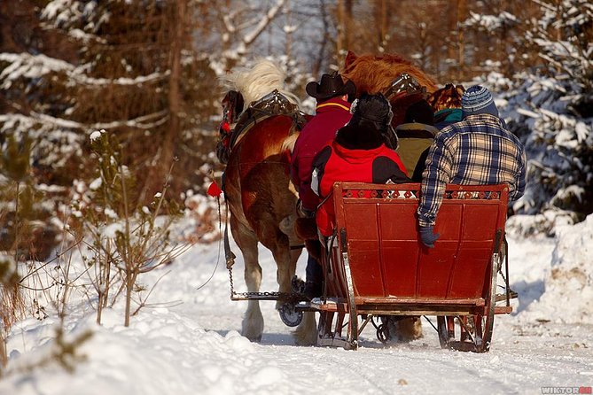 Horse Sleigh Ride in the Polish Countryside, private tour from Krakow - Leaving Krakow for the Polish highlands