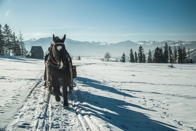 Horse Sleigh Ride in the Polish Countryside, private tour from Krakow - Booking timing and practical details