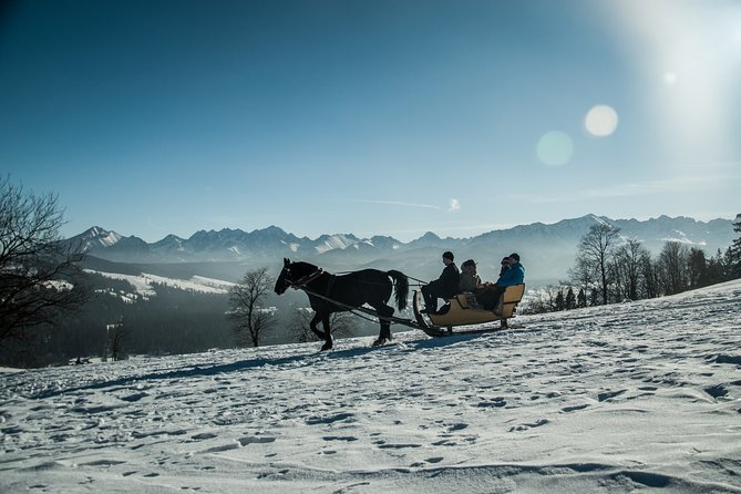 Horse Sleigh Ride in the Polish Countryside, private tour from Krakow - Bonfire sausage and a traditional Polish meal