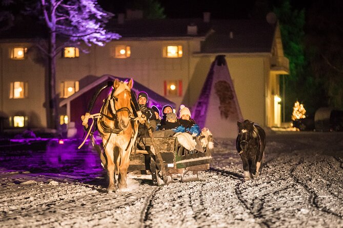 Horse Sleigh Ride Under The Night Sky in Apukka Resort, Rovaniemi - Staying warm in Arctic weather
