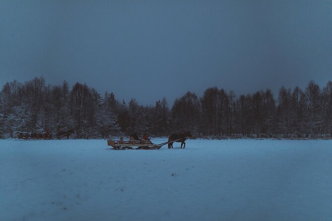 Horse Sleigh Ride Under The Night Sky in Apukka Resort, Rovaniemi - Stories and myths beside the bonfire