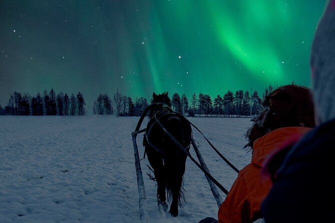 Horse Sleigh Ride Under The Night Sky in Apukka Resort, Rovaniemi - The northern lights are possible, not promised