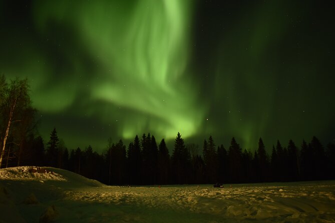 Horse Sleigh Ride Under The Night Sky in Apukka Resort, Rovaniemi - Setting off from Apukka Resort