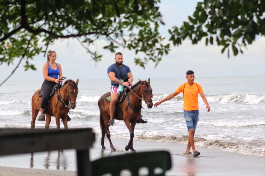 HORSE TOUR IN CARTAGENA BEACH - Booking details and cancellation