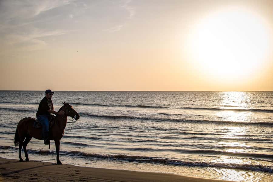 HORSE TOUR IN CARTAGENA BEACH - A quiet beach ride north of Cartagena