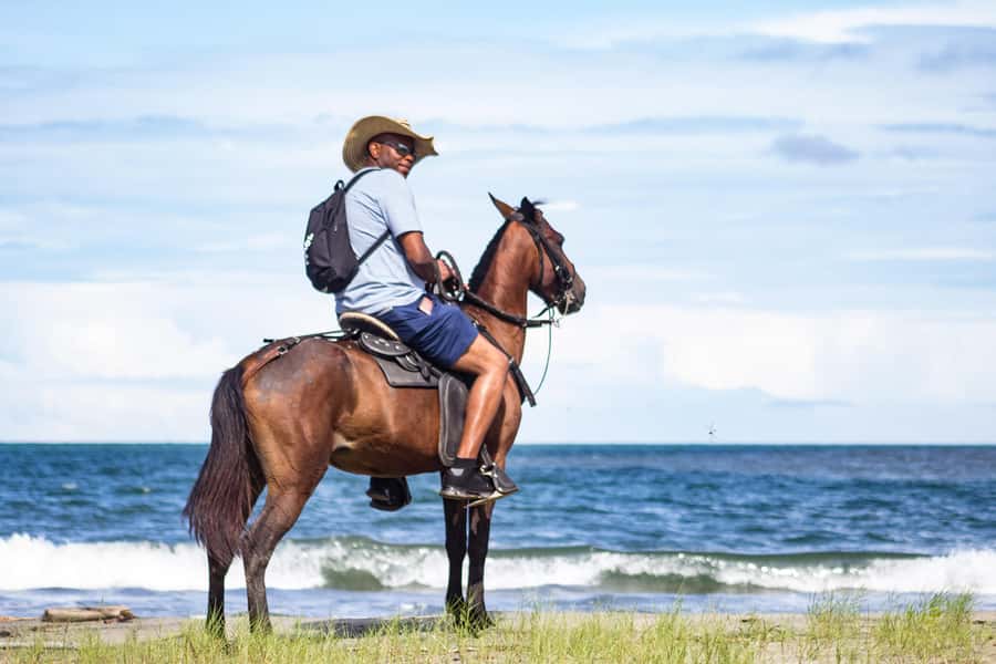 HORSE TOUR IN CARTAGENA BEACH - One hour on horseback, at your pace