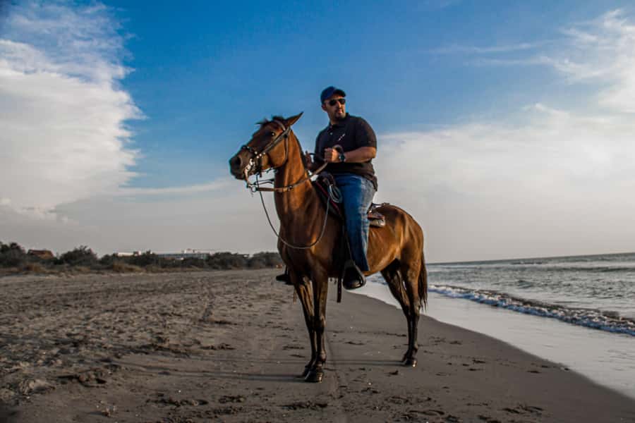 HORSE TOUR IN CARTAGENA BEACH - The horses and the care you can expect