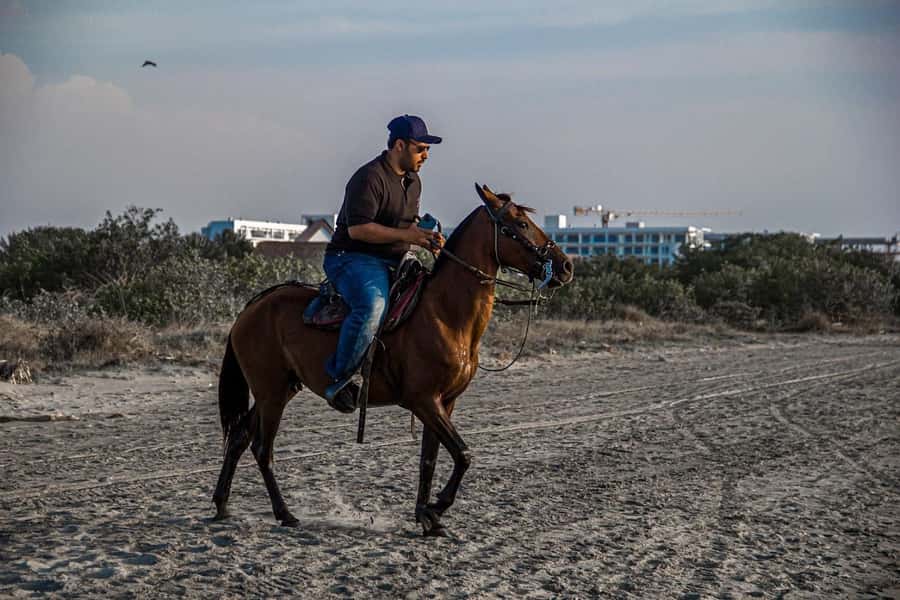 HORSE TOUR IN CARTAGENA BEACH - Photos, videos, and the short break