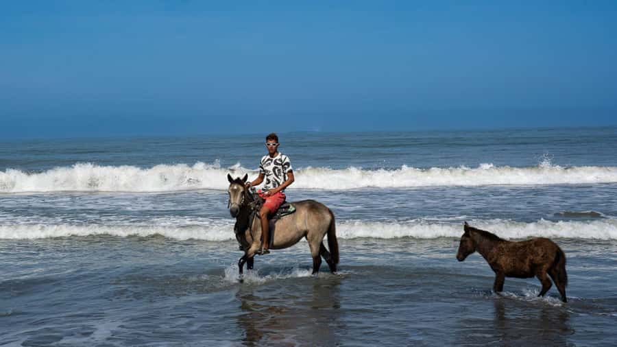 HORSE TOUR IN CARTAGENA BEACH - What the $43 price includes