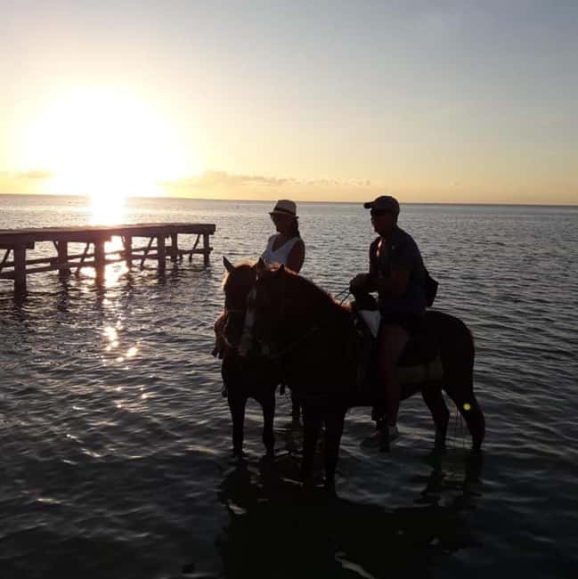 Horseback Adventure in Holbox - Riding into Holbox’s mangrove country