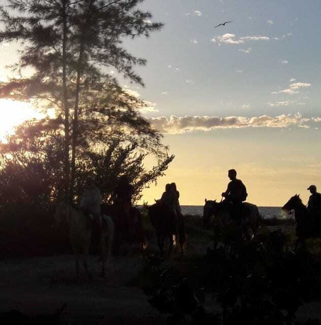 Horseback Adventure in Holbox - Booking details worth checking first