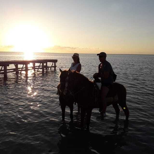 Horseback Adventure in Holbox - FAQ
