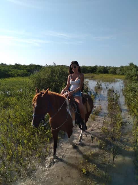 Horseback Adventure in Holbox - Reaching Punta Siricote without a bad start