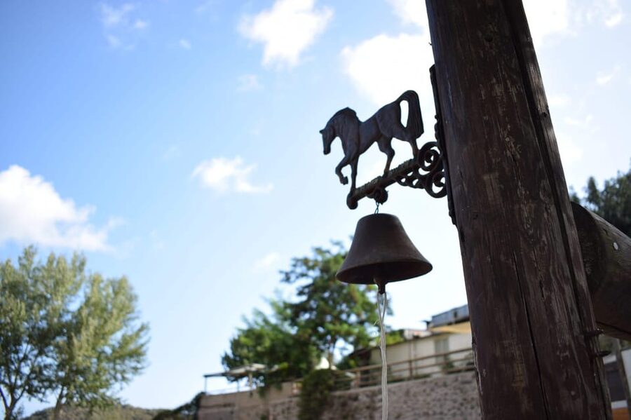 Horseback excursion in the Maddalena woods - Key points at a glance