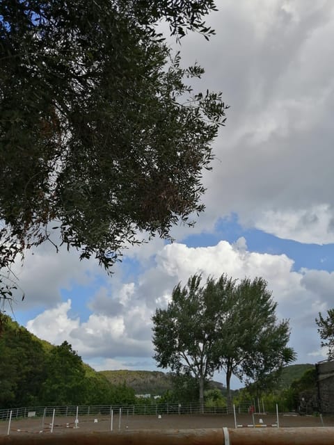 Horseback excursion in the Maddalena woods - What to wear and bring