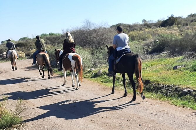 Horseback Mountain Trail Ride - Guides, language, and safety