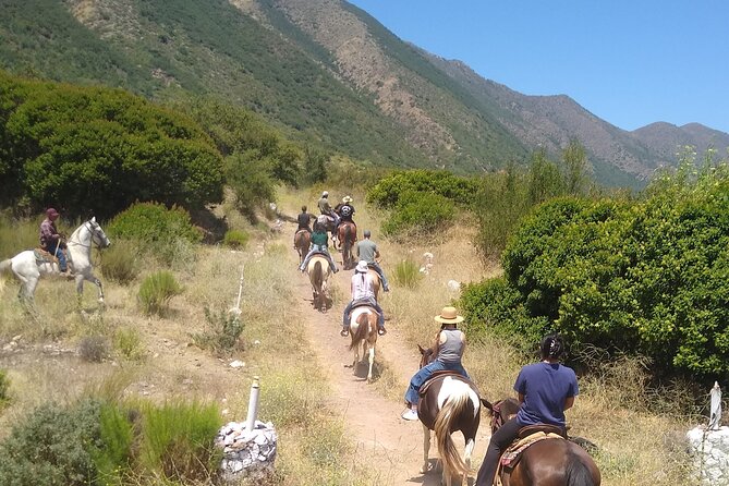 Horseback Mountain Trail Ride - Getting matched with the right horse