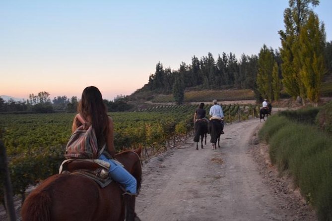 Horseback Private Wine Tour and Country Grill from Santiago - Meeting the horses and learning the basics