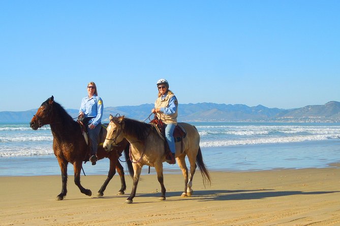 Horseback Ride & Alcatraz Prison Tickets - The coastal drive south to the historic ranch