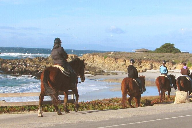 Horseback Ride & Alcatraz Prison Tickets - Is $925 per person a fair price?