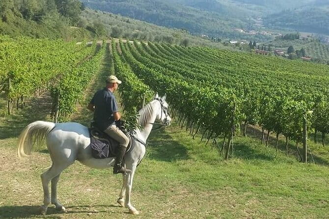 Horseback ride and gourmet cuisine in a historic food shop - Key points to know before booking