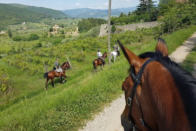 Horseback ride and gourmet cuisine in a historic food shop - Riding from Florence into the Chianti hills