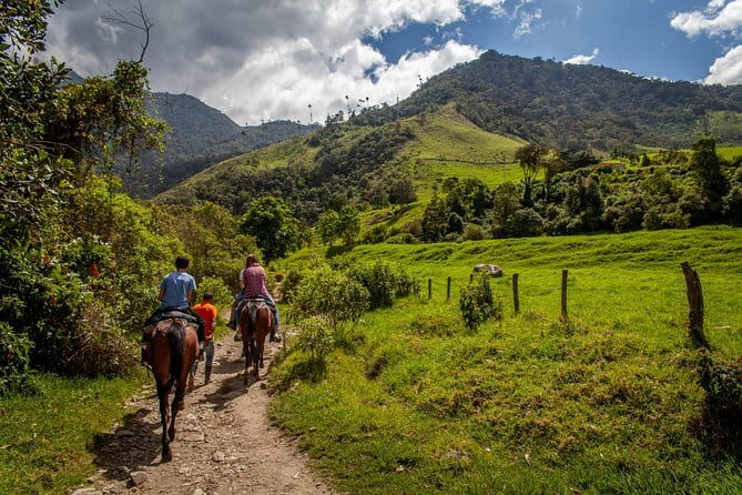 Horseback ride and gourmet cuisine in a historic food shop - Who will enjoy this most?