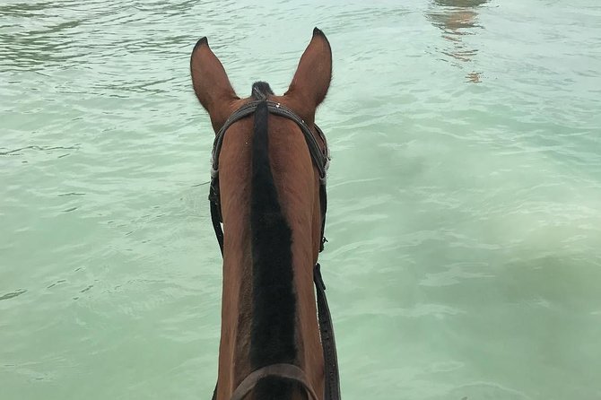 Horseback Ride and Swim From Ocho Rios - A private outing with a small-group feel