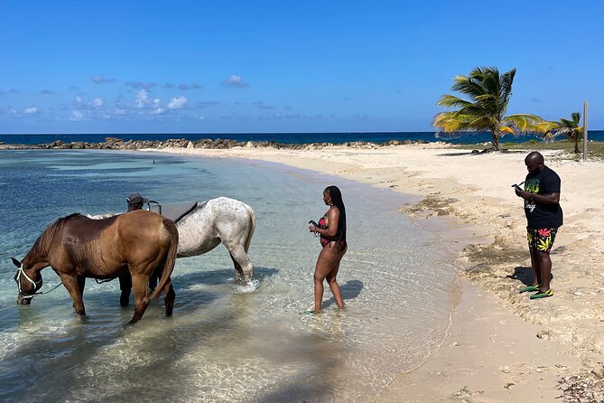 Horseback Ride and Swim Guided Tour from Montego Bay - Returning to the private beach