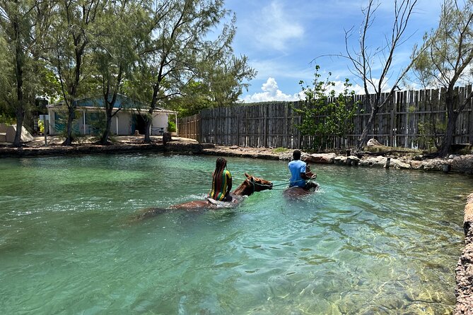 Horseback Ride and Swim Guided Tour from Montego Bay - What the private format changes