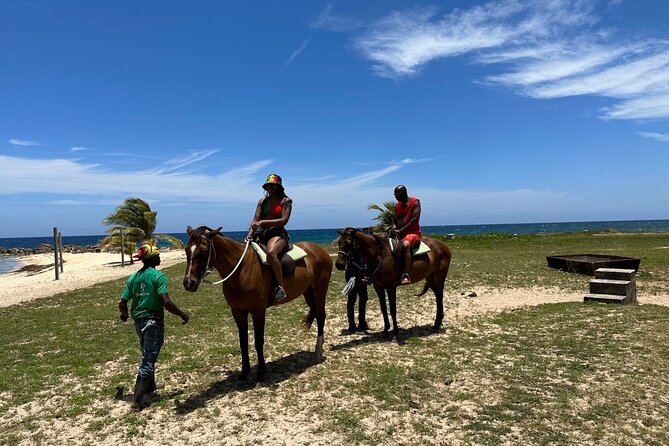 Horseback Ride and Swim Guided Tour from Montego Bay - Is $160 a fair price?